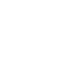 Sveldet Logo